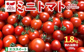 美味しさで笑おっ！トマトで笑おっ！ エコスイート 1.8kg+200g 割れ保障 トマト とまと 夏野菜 旬 完熟 甘い プチトマト 採れたて 新鮮 産地直送 お取り寄せ 濃厚 トマトのかねっこ 神奈川県 茅ケ崎市