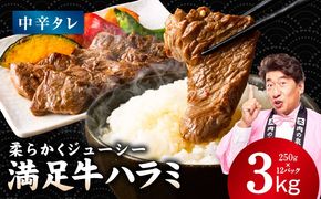 G5292 【満足牛ハラミ】中辛タレ漬け 合計3kg 【スピード発送 味付け ハラミ 小分け 焼くだけ 簡単調理 BBQ 牛肉 250g×12P 普段使い】