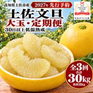 土佐文旦 大玉 定期便 全3回 各回10kg 合計30kg 家庭用 日本ギフト大賞受賞 文旦発祥の地 園主こだわり 2月 3月 4月 食べ比べ 高知県土佐市産 高知県産 国産 10キロ ぶんたん みかん 柑橘類 高級フルーツ 果物 産地直送 お取り寄せ ギフト 先行予約 やの一果彩[BQAC010]