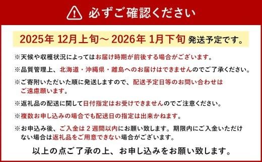 今季初採れ あまおう 2パック 約500～540g 【数量限定】 【2025年12月上旬～2026年1月下旬発送予定】 苺 いちご 果物 果実 フルーツ 国産 九州 福岡県 香春町 冷蔵