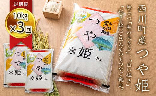 yR`쒬zFYN6-276 y3zߘa7Nx R` 쒬Y  P 10kg(5s×2)×3 v30kg     CX ͂  uh  ƒp p p     Hi Z ߐ 2025N 쒬 R