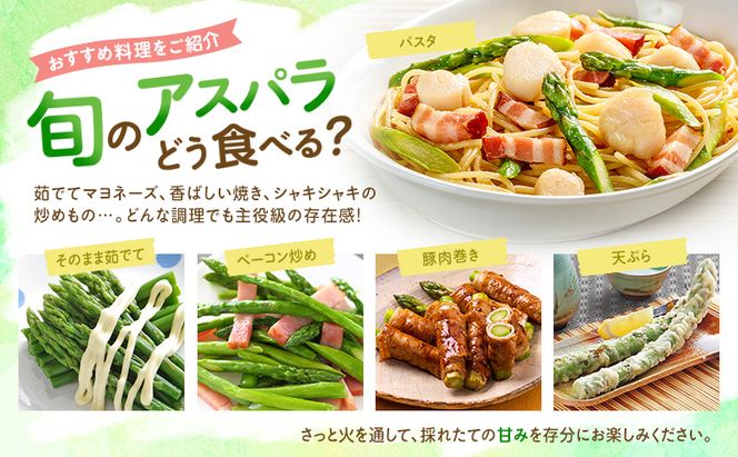 【2027年5月より発送】北海道 富良野市産 アスパラ 緑・紫(サイズ混合)  計約2kg セット 食べ比べ 朝どり 露地 アスパラガス 詰め合わせ 野菜 新鮮 数量限定 先着順【藏ファーム】