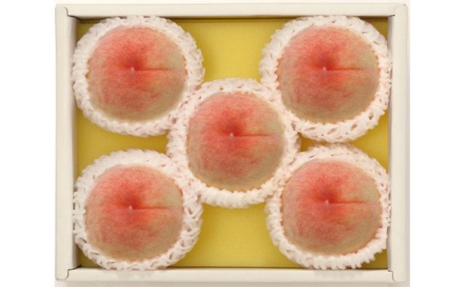 桃 2026年先行予約 岡山県産 白桃 約1.2kg 4～6玉 お届け 7月上旬～7月下旬