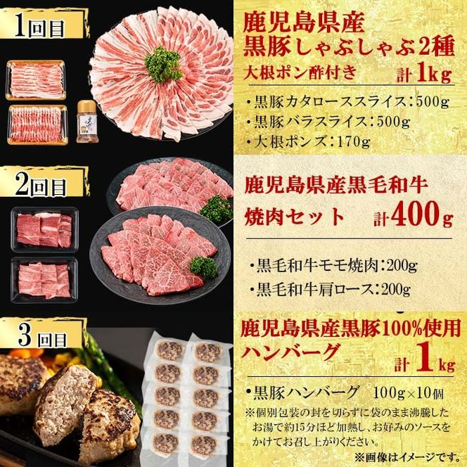 【定期便・全12回】ナンチクのお肉を楽しむ定期便！ナンチク厳選コース！ 総量8.5kg超! t0165-001