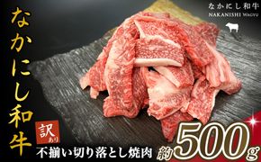 宮崎県西ノ原牧場・なかにし和牛訳あり不揃い切り落とし焼肉 500g（国産 牛肉 肉 宮崎牛 黒毛和牛 お肉 切り落とし なかにし和牛 焼肉 人気 訳あり 不揃い ）