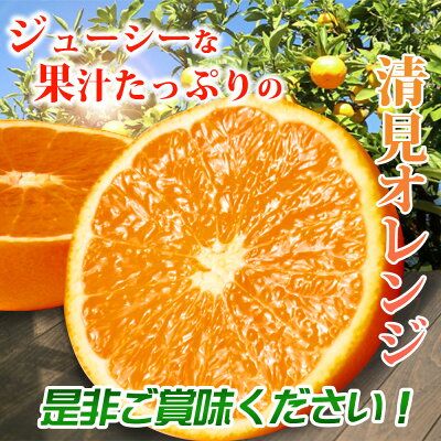【2027年先行予約】とにかくジューシー 清見 オレンジ 5kg_G7066