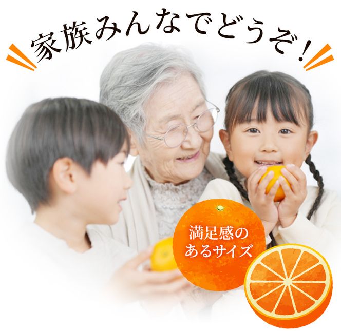 【先行予約】みかん せとか ご家庭用 たにぐち農園の せとか 4.5kg 大小混合【2027年3月から4月上旬までに順次発送予定】 / 家庭用 ご家庭用 せとか みかん 蜜柑 サイズ 不揃い【mtn012C】