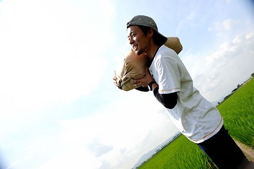 【新米】令和8年産 強い粘りと旨味！お米の王様「コシヒカリ」　白米　5kg【C029W1】（滋賀県　近江八幡市）