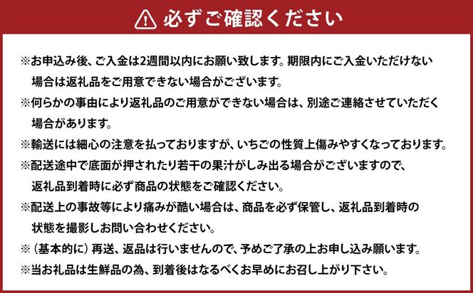 【3ヶ月定期便】 あまおう 2パック×3回 （計6パック） 【2026年2月上旬～4月上旬発送予定】 いちご イチゴ 果物 果実 フルーツ 福岡県 太宰府市 冷蔵