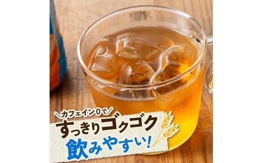 ※本数が選べる※サンA宮崎のむぎ茶　500ml PET 【 飲料 お茶 麦茶 宮崎県産 ペットボトル】 [C03021][C03022]