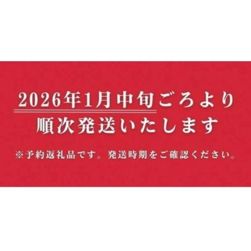 来シーズン予約受付 高級 京いちご 完熟 朝採れ 約1,000g（250g 4パック）小島農園 紅ほっぺ おいCベリー スターナイトから厳選≪訳あり 苺 イチゴ ≫離島への配送不可 ※2026年1月中旬～5月下旬頃に順次発送予定