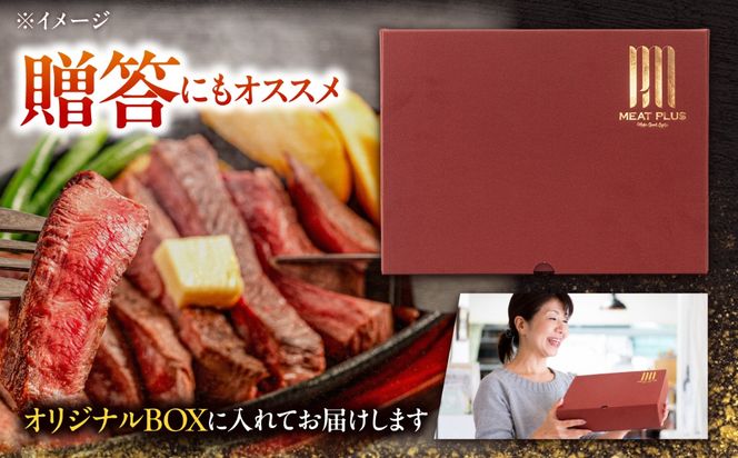 【A4〜A5】長崎和牛ロースブロック 約500g / 牛肉 ぎゅう肉 和牛 / 南島原市 / 株式会社MEAT PLUS[SHG062]