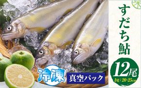 すだち鮎 12尾 冷凍 有限会社岩崎商店 《30日以内に出荷予定(土日祝除く)》│1尾あたり20～25cm 徳島県産 あゆ アユ 魚 魚介 川魚 塩焼き 甘露煮 徳島県 佐那河内村---sanagouchi_ist_2_12bi---