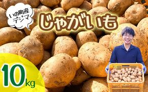 じゃがいも10kg（デジマ）
