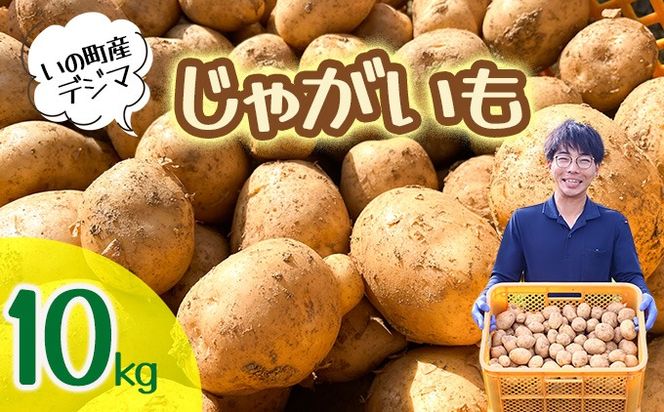 じゃがいも10kg（デジマ）