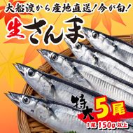 【予約受付】特大さんま 150g以上 5尾 冷蔵 期間限定 鮮秋刀魚 [発送:2026年9月～2026年11月下旬] 三陸 岩手 大船渡市 サンマ [kama029]
