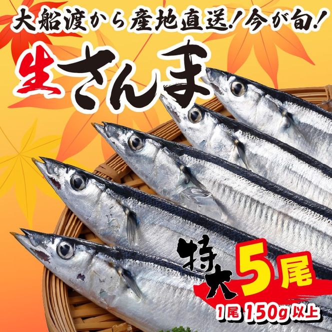 【近日解禁】特大さんま 150g以上 5尾 冷蔵 期間限定 鮮秋刀魚 [発送:2024年9月～2024年10月下旬] 三陸 岩手 大船渡市 サンマ [kama029]