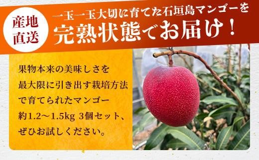 《2026年6月下旬～7月発送》【先行予約】最高糖度20度！？ 完熟！3Lサイズ 石垣島マンゴー 3玉入り【 沖縄 石垣島 石垣 八重山 マンゴー 完熟 期間限定 数量限定 沖縄県 石垣島産 】TF-28_R8