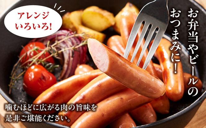 和豚もちぶた使用ウインナー【 惣菜 おかず 家庭用 自宅用 贈答品 贈答用 ギフト お取り寄せ お中元 お歳暮 贈り物 神奈川県 小田原市 】 142069_BX009