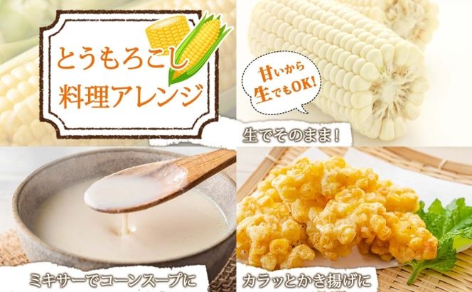 【 2026年 発送 】 北海道産 とうもろこし 計12本 L-2L サイズ混合 ロイシーコーン 大きめ 旬 朝採り 新鮮 トウモロコシ 甘い 夏野菜 とうきび お取り寄せ 産地直送 野菜 しりべしや 送料無料 