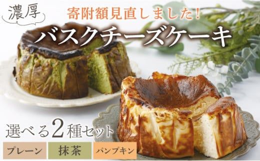 濃厚バスクチーズケーキ 選べる2種セット  バスクチーズケーキ クリーミーチーズケーキ クリスマス おやつ 冷凍 抹茶 プレーン かぼちゃ パンプキン ギフト プレゼント 誕生日 [C-694-SP]