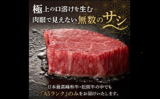 【9.6-1】松阪牛 A5 シャトーブリアンステーキ 480g（120g×4枚）　( 牛肉 ブランド牛 高級 和牛 国産牛 松阪牛 松坂牛 ステーキ ヒレ シャトーブリアン 牛肉 ステーキ 松阪牛 牛肉 ステーキ シャトーブリアン 松阪牛 ステーキ 冷凍 人気 おすすめ ランキング 三重県 松阪市 松阪牛 シャトーブリアン )