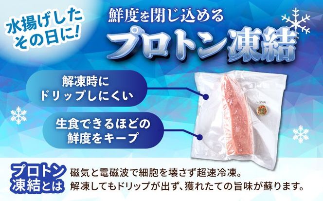 冷凍キハダマグロ 1.2kg (300g×4パック) マグロ まぐろ 小分け 冷凍 刺身 赤身 沖縄市 / 沖縄市漁業協同組合 パヤオ直売店[BCDZ007]