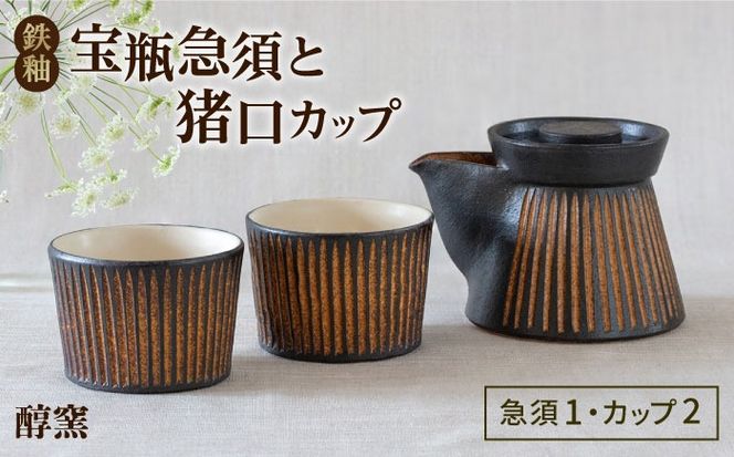 鉄釉 宝瓶急須と猪口カップ 2個セット 糸島市 / 醇窯 セット カップ[AOE010] 醇窯 高須健太郎 陶器 うつわ 器 やきもの 食器 セット
