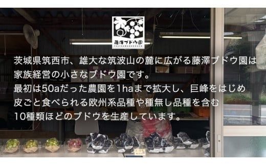 【 藤澤ブドウ園 】 こだわり の シャインマスカット 1房 約700g 2026年産 先行予約 ぶどう ブドウ 葡萄 フルーツ [AH005ci]