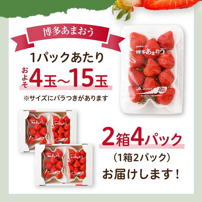 【先行予約】【アフター保証】どこよりも早くお届け！12月発送「博多あまおう」約250g×4パック【ほたるの里】_HA0502