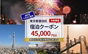 HISふるさと納税宿泊予約専用クーポン（東京都墨田区）45,000円分