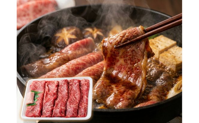 厳選黒毛和牛赤身スライス定期便12か月500g 372013_LG003