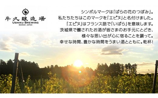 デラウェアセンセイ Delaware Sensei 2025 750ml×1本 茨城県産 牛久醸造場 日本ワイン ワイン 白ワイン 750ml ミディアムボディ お酒 贈り物 葡萄 ぶどう [BJ060us]