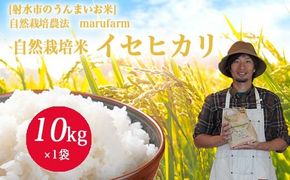 【射水の美味しいお米】【自然栽培農法】自然栽培農家 marufarm 自然栽培米「イセヒカリ」10kg ※2026年10月～発送