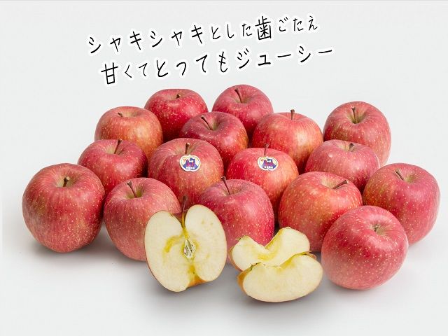 りんご 青森 サンふじ リンゴ 約 5kg (12～18玉) 青森県 鰺ヶ沢町産 木村りんご園 フルーツ 果物 果物類 白神山地 林檎 サンフジ ふじ ※オンライン決済限定