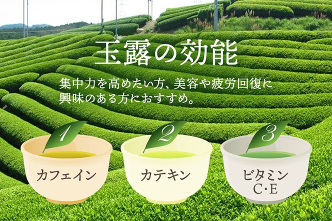 有機宇治茶味わいセット 〈 有機 オーガニック 無農薬 玉露 煎茶 上煎茶 緑茶 茶葉 お茶葉 お茶 茶 最上級 産地直送 飲料 加工食品 〉 