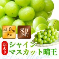 訳あり シャインマスカット 晴王 2房 合計1.0kg以上 ぶどう 葡萄 シャイン マスカット 岡山 岡山県産 桃太郎御一行 2026年 先行予約