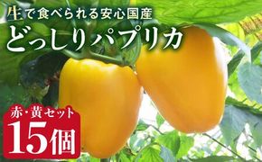 【先行予約】糸島産 肉厚 パプリカ 15個【2025年2月以降順次発送】 福岡県 糸島市 / シーブ [AHC032] 野菜 ピーマン