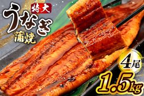 うなぎ 蒲焼 特大サイズ 肉厚 約 1.5kg 4尾 タレ・山椒付 茶葉蒸し [大黒物産 福岡県 宇美町 um40bak830002] 鰻 ウナギ 小分け うなぎ蒲焼 鰻蒲焼き 訳あり 蒲焼き かば焼き 茶葉蒸しうなぎ 真空パック 個包装 冷凍 unagi