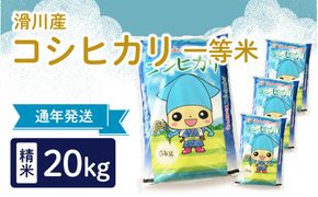 滑川産コシヒカリ（精米20kg）　[D-007001]
