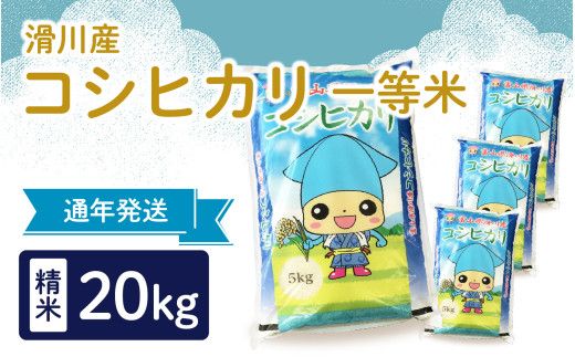 滑川産コシヒカリ（精米20kg）　[D-007001]