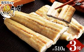 楠田の極うなぎ 白焼き 170g以上×3尾(計510g以上) b2-012