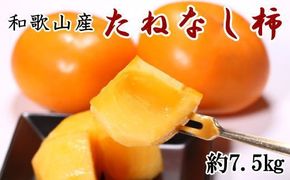 【秋の味覚】和歌山産のたねなし柿約7.5kg(L～4Lサイズおまかせ)※2026年10月上旬～2026年11月上旬頃順次発送【tec402B】
