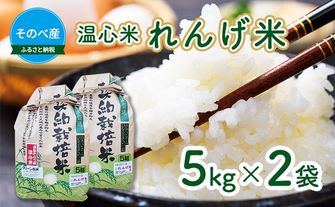 米 コシヒカリ れんげ米 5kg ×2袋 そのべ産 温心米 2025年度産 お米 単一原料米 こしひかり 丹波 精米 白米 こめ コメ 京都 