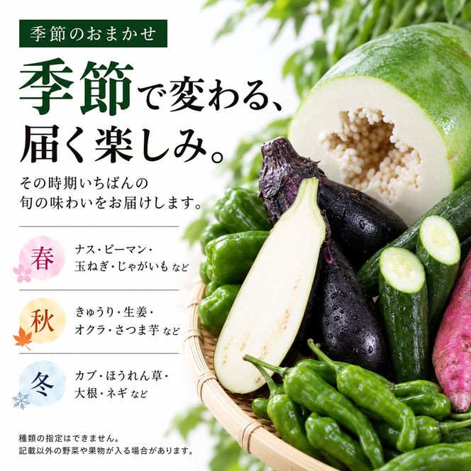 【CF-R7hbk】KPP030　朝どれ！ 野菜詰合せ／芸西村で採れた新鮮な野菜6～8種類をお届けします。特産品 ピーマン ナス こだわりの栽培方法 環境に優しい 安全で安心な野菜づくり  支援品
