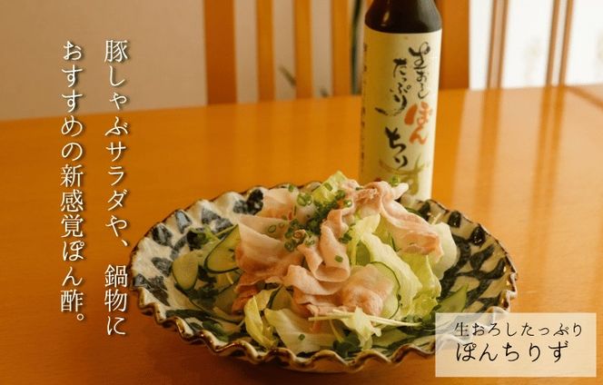 【一週間以内に発送】料理人自慢の調味料セット【道の駅むなかた】_HA1818