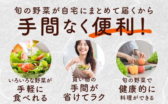 005A443 【家計応援】野菜セット 7種類【詰め合わせ 国産 旬 お