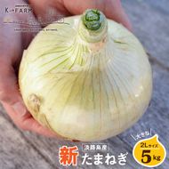 【新玉ねぎ】淡路島玉ねぎ 大きな2Lサイズ 5kg【発送時期：2026年3月下旬～6月頃】