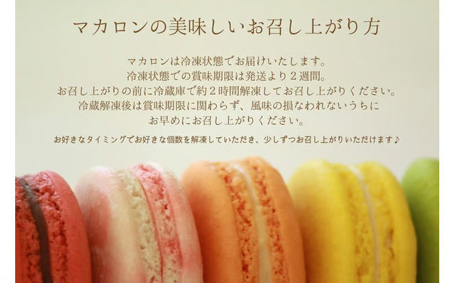 パティシエ マエサン　おまかせマカロン２０個セット　マカロンセット　大人気　行列　マカロン　焼き菓子　洋菓子　受賞歴あり　沖縄　うるま市　おかし　おやつ　贅沢　こだわり　スイーツ
