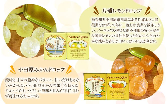 【小田原のフルーツ果汁を使ったドロップ3種類×2個セット】口に入れるとフルーツの香りが広がるドロップ。【 ドロップ 神奈川県 小田原市 】 142069_CW057